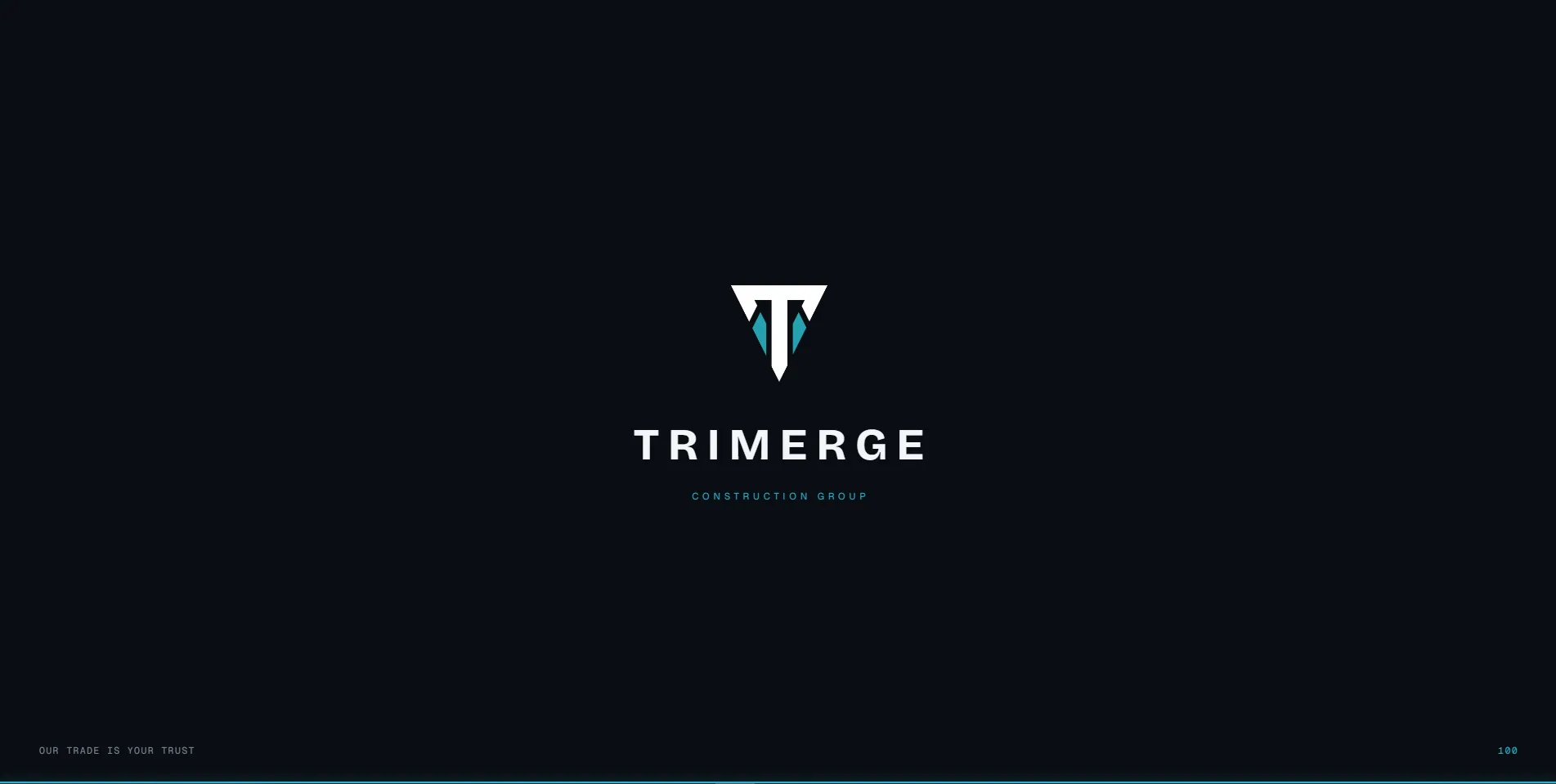 TriMerge screenshot 2